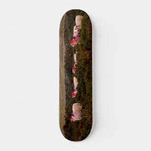 Colourful sheep skateboard