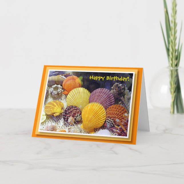 Colourful Shells Birthday Card (Front)