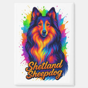 Colourful Shetland Sheepdog Pop Art Illustration Magnet