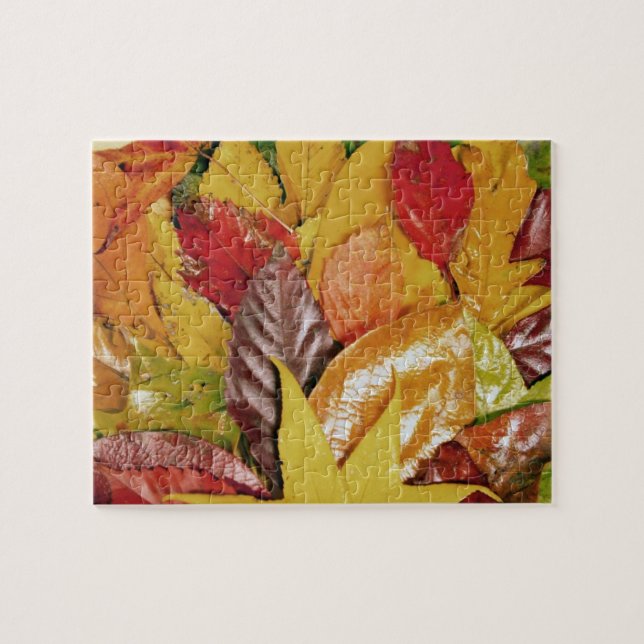 Colourful Shiny Red | Yellow Fall Leaves Jigsaw Puzzle (Horizontal)