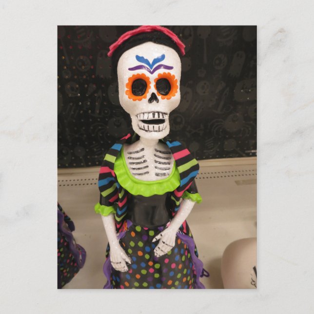 Colourful Skeleton Postcard (Front)