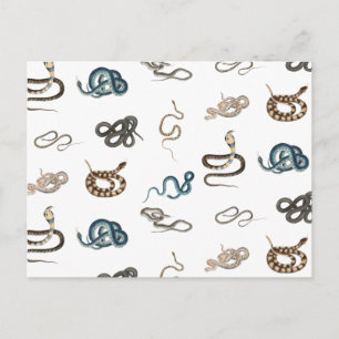 Colourful Snakes Reptile Animal Pattern Holiday Postcard