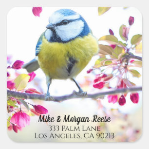 Colourful Songbird & Spring Blossoms, Address Labe Square Sticker