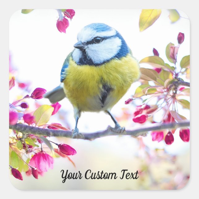 Colourful Songbird & Spring Blossoms, Your Message Square Sticker (Front)