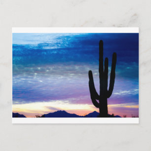 Colourful Southwest Desert Sunrise Postcard