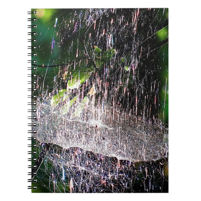 Colourful, sparkling spidernet notebook (Front)