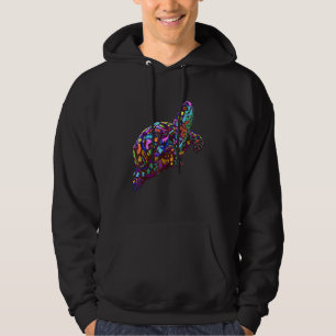 Colourful Splash Eastern Box Turtle Hoodie