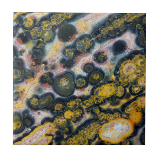 Colourful Spotted Ocean Jasper Ceramic Tile (Front)