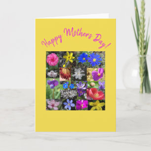 colourful spring - card