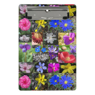 colourful spring - clipboard