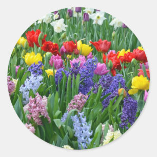 Colourful spring flower garden classic round sticker