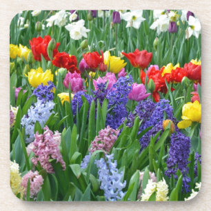 Colourful spring flower garden coaster