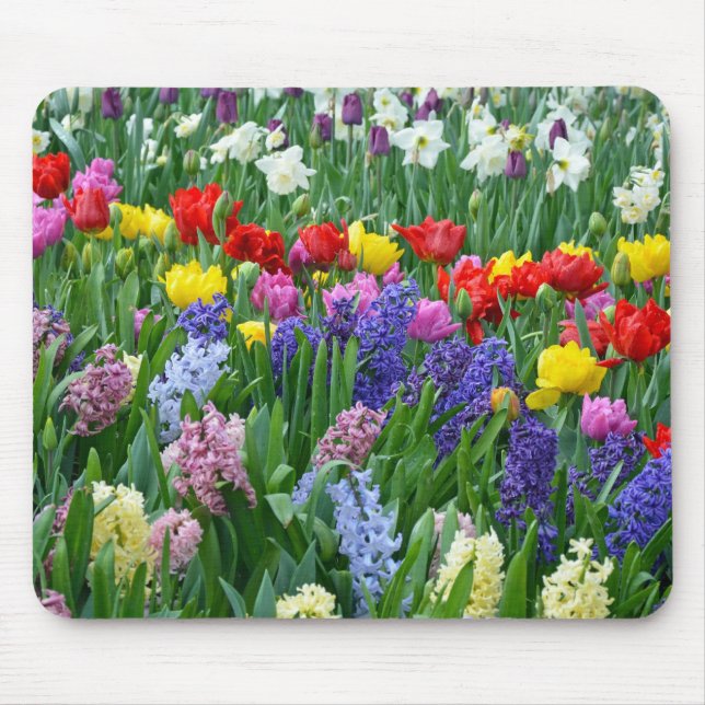 Colourful spring flower garden mouse pad (Front)