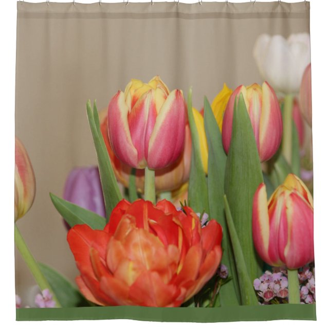 Colourful Spring Flower Photograph Shower Curtain (Front)