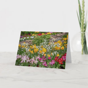 Colourful Spring Flowers in full bloom Card