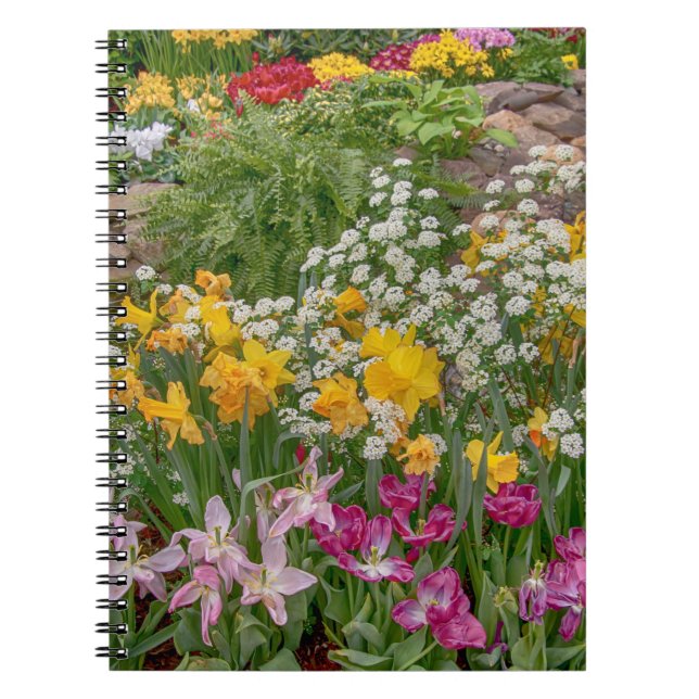 Colourful Spring Flowers in full bloom Notebook (Front)