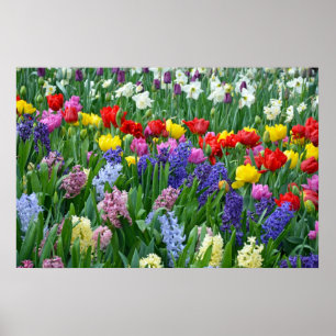 Colourful spring garden poster