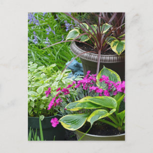 Colourful spring garden print postcard