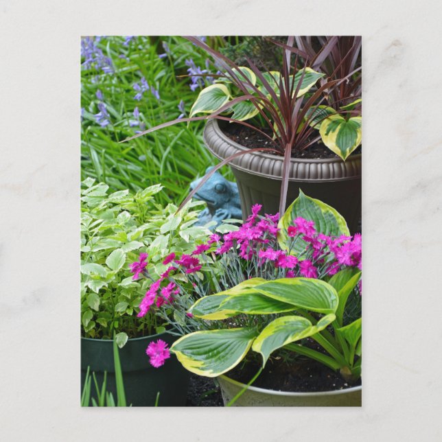 Colourful spring garden print postcard (Front)