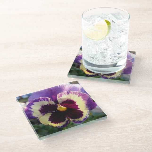 colourful spring Pansy Glass Coaster (Angled)
