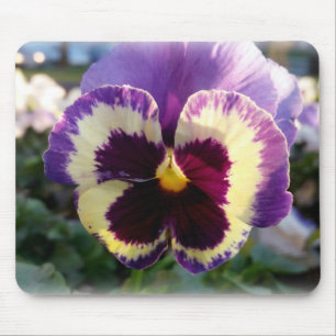 colourful spring Pansy Mouse Pad