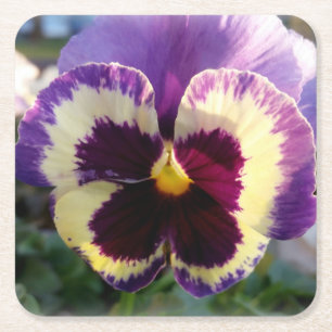 colourful spring Pansy Square Paper Coaster