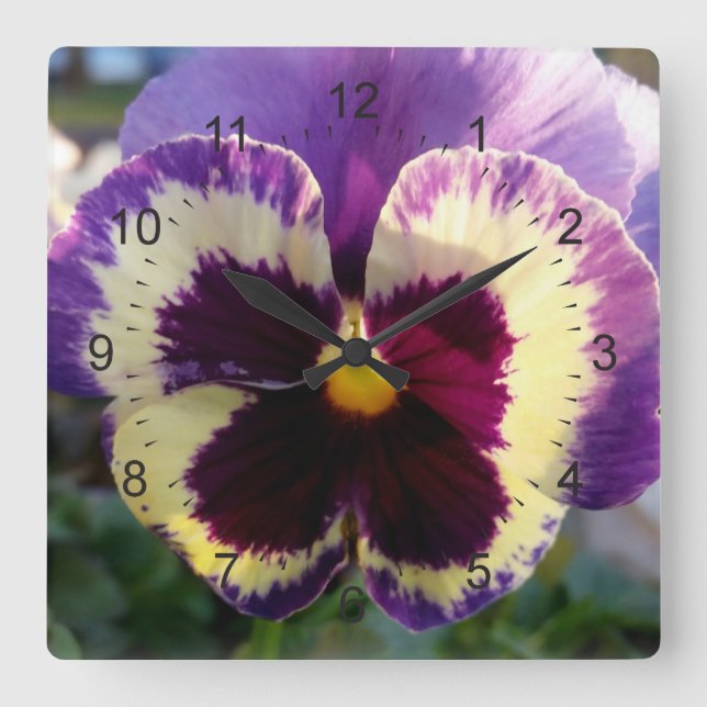 colourful spring Pansy Square Wall Clock (Front)