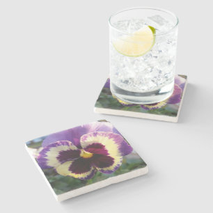 colourful spring Pansy Stone Coaster