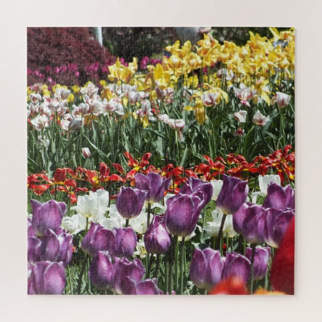 Colourful Spring Tulip Garden, Elizabeth Park Jigsaw Puzzle (Vertical)