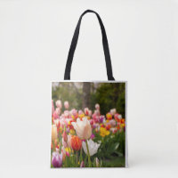 Colourful Spring Tulip Garden Nature Photography