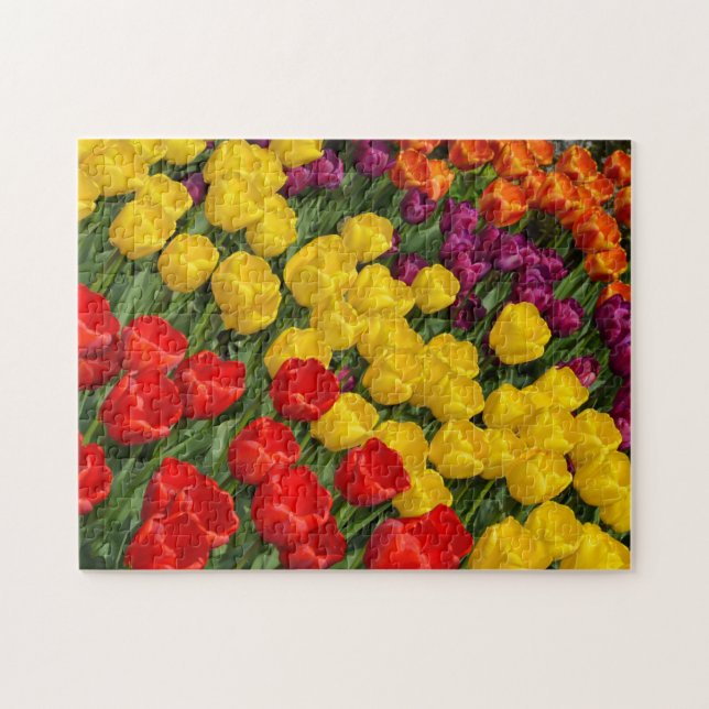 Colourful spring tulip rows jigsaw puzzle (Horizontal)
