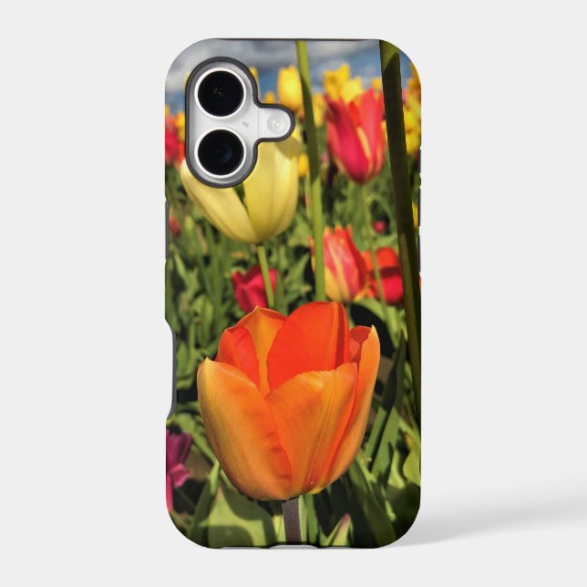Colourful Spring Tulips (Back)