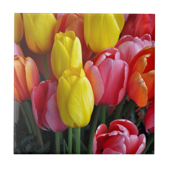 Colourful spring tulips bouquet ceramic tile (Front)