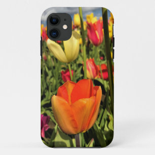 Colourful Spring Tulips iPhone 11 Case