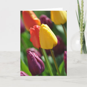 Colourful spring tulips garden greeting card
