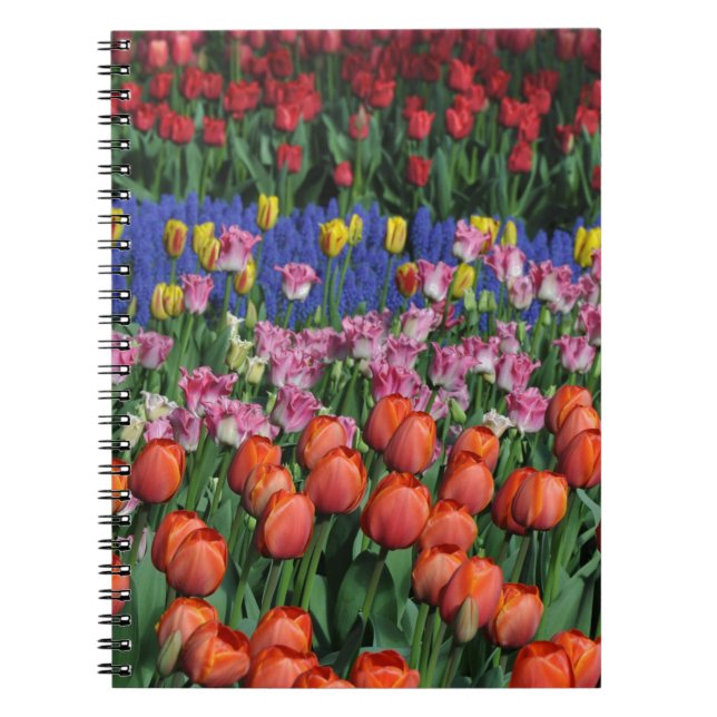 Colourful spring tulips notebook (Front)