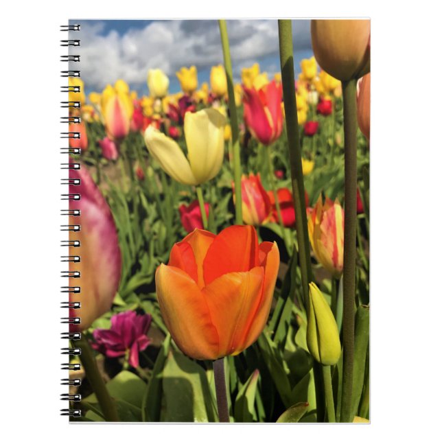 Colourful Spring Tulips Notebook (Front)