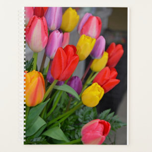 Colourful spring tulips planner