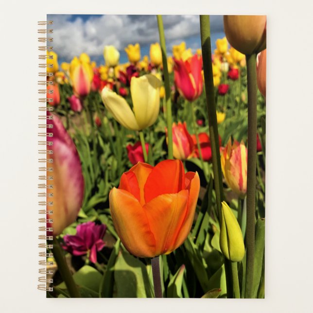 Colourful Spring Tulips Planner (Front)