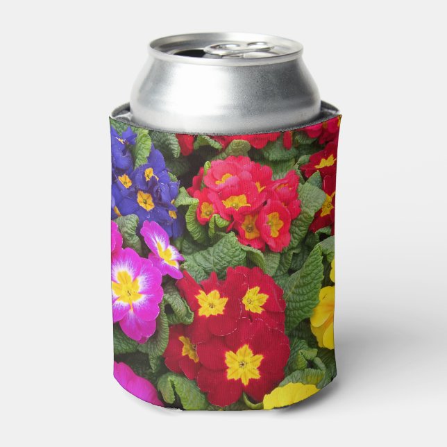 Colourful Springtime Medley of Primulas Can Cooler (Can Front)