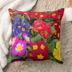 Colourful Springtime Medley of Primulas Cushion