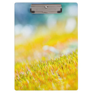 Colourful sprouts clipboard