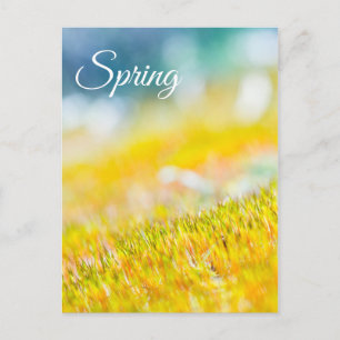 Colourful sprouts postcard