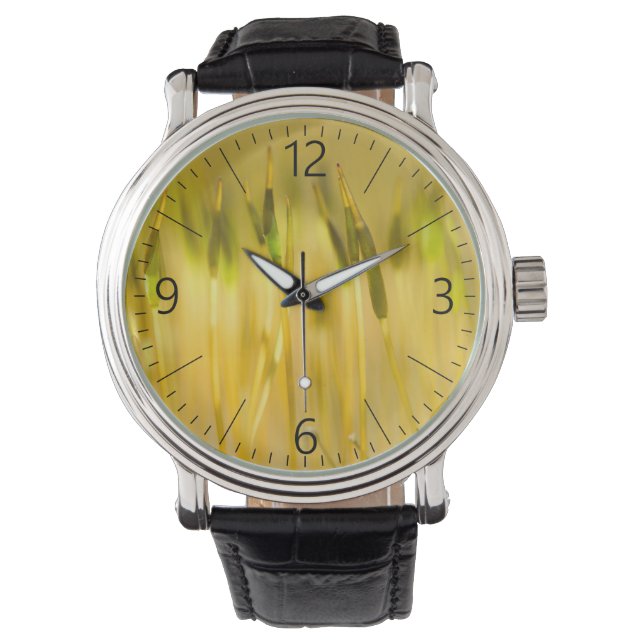 Colourful sprouts watch (Front)
