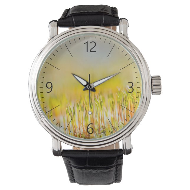 Colourful sprouts watch (Front)