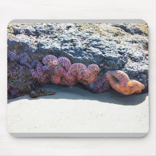 Colourful Starfish at Bob Creek, OR Mouse Pad (Front)
