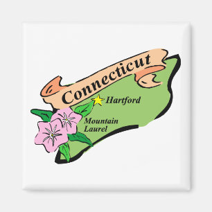 Colourful State of Connecticut Map Tees, Gifts Magnet