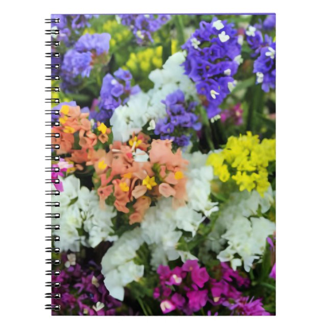 Colourful Statice Notebook (Front)