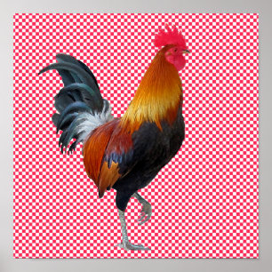 Colourful Strutting Rooster Poster