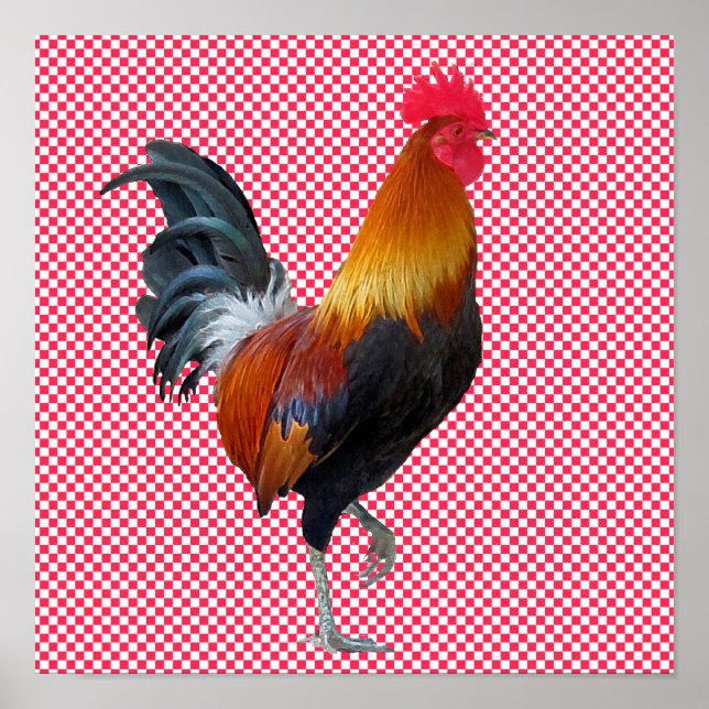 Colourful Strutting Rooster Poster (Front)